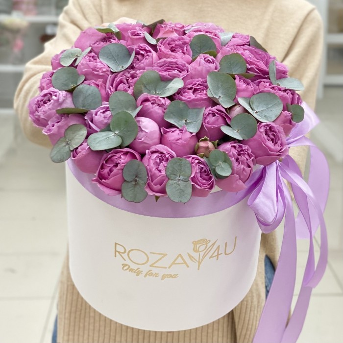 Мисти Баблс с эвкалиптом в коробке